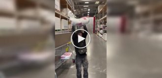 Друзья и коварный план