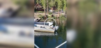 A fisherman got off easy Frightened