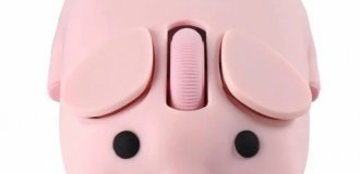 Мила мишка для комп'ютера (5 фото)