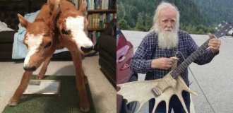 22 странные фотографии из реальной жизни, в которые трудно поверить (23 фото)