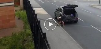 Мужчину арестовали за то, что он напустил крыс в сторону мечети