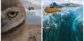 15 Photo Stories Proving the World Hasn't Lost Its Ability to Surprise (16 photos)