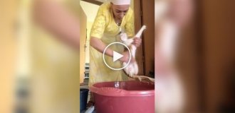 Как выжимать кота после купания