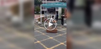 Китайские школьники собрали «ездовую» парту для передвижения по городу