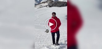 Турист хотів зняти пейзаж Антарктиди, але кадр несподівано «вкрали» пінгвіни.