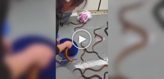 Скользкая ситуация в Шанхае