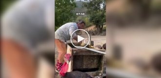 Обычный день фермера в деревне