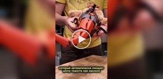 Парень вернул курицам хвосты, чтобы они снова ходили как динозавры