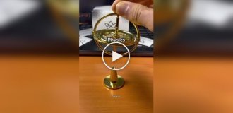 How the magic of physics works: A visual demonstration of how a gyroscope works