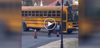 A dog walks girls to the bus