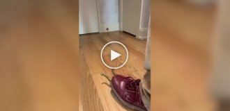 An interesting device for removing shoes