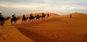Сквозь пустыню: как выглядит жизнь погонщика верблюдов (4 фото)