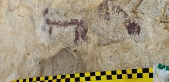 A Man in Spain Threw Water on 6,000-Year-Old Rock Paintings years to take a better photo for social networks (2 photos)