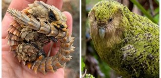 23 compelling reasons to fall in love with this planet all over again (24 photos)