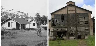 Фордландия: заброшенная мечта Генри Форда в сердце Амазонии (12 фото)