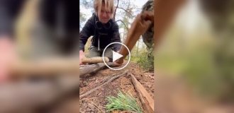 Музыкант показал, как звучит техно без оборудования — только палки и ритм