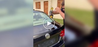 Beer bar in a car