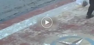 Мужчина пришел на помощь коту