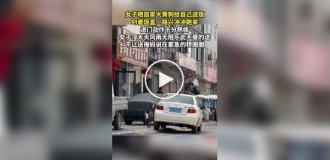 Собака щодня приносить своїй господині їжу із закусочної