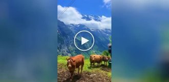 Beautiful nature of Switzerland