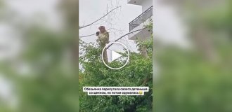 Обезьянка перепутала своего детеныша со щенком, но потом одумалась