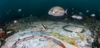 Archaeologists have shown the marble floor of a sunken Roman villa (3 photos)