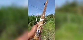 Необычная рогатка