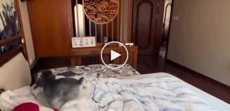 Девочка спряталась от небольшого торнадо