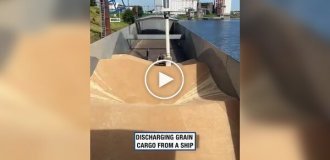 Unloading a barge with grain with a vacuum unloader