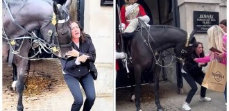 Лошадь Королевской гвардии укусила туристку, которая решила с ней сфотографироваться (7 фото + 6 видео)