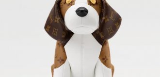Сумка в виде собаки за 5 800 долларов (3 фото)