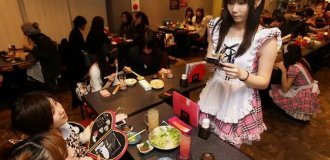 How they tried to teach Japan to tip (6 photos)