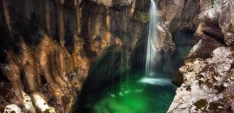 «Изумрудная красавица» (19 фото)