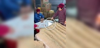 Как китайцы делают столетние яйца