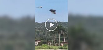 An engineer built a special drone for his parrot
