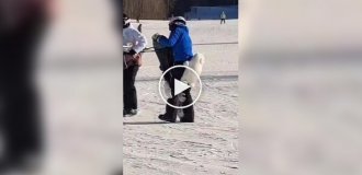 Китайские сноубордисты используют мягкие напопники