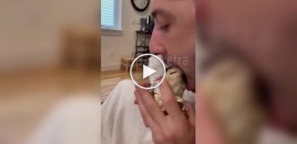 Самые голодные бестии
