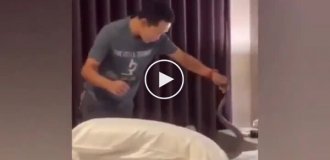 A snake crawled into a Phuket hotel room and woke up a tourist