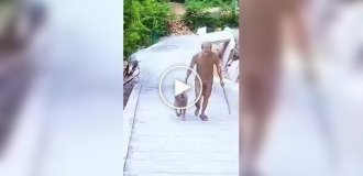 Забавные моменты на прогулке с собаками