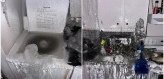 Экономия на максималках: мстительный арендатор превратил квартиру в Квебеке в ледяной ад (4 фото + 1 видео)
