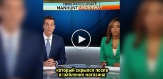 Ведучі новин не змогли стримати сміх