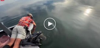 Рыбалка закончилась встречей с крокодилом