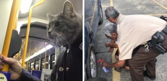 17 deceptive shots that are tricky to decipher due to tricky angles (18 photos)