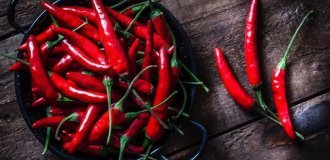 Добавь огоньку: почему любовь к острому перцу — это не просто вкус, а эликсир долголетия? (фото)
