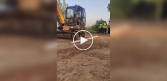 The test is passed - you are accepted as an excavator operator