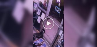 Побег смышленого пса из приюта для животных