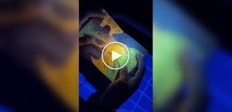 Китайський паспорт під ультрафіолетом