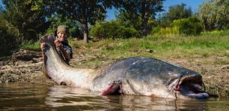 A fisherman in the Czech Republic caught the largest catfish in the country's history (4 photos)