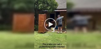 Нежданный «сосед»: туристы открыли шкаф и нашли одну из самых опасных змей в мире