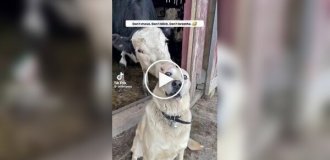 Когда за спиной происходит что-то очень странное